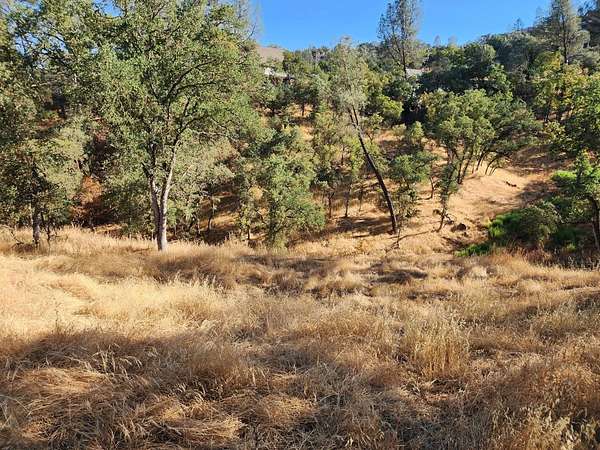 0.39 Acres of Residential Land for Sale in Copperopolis, California