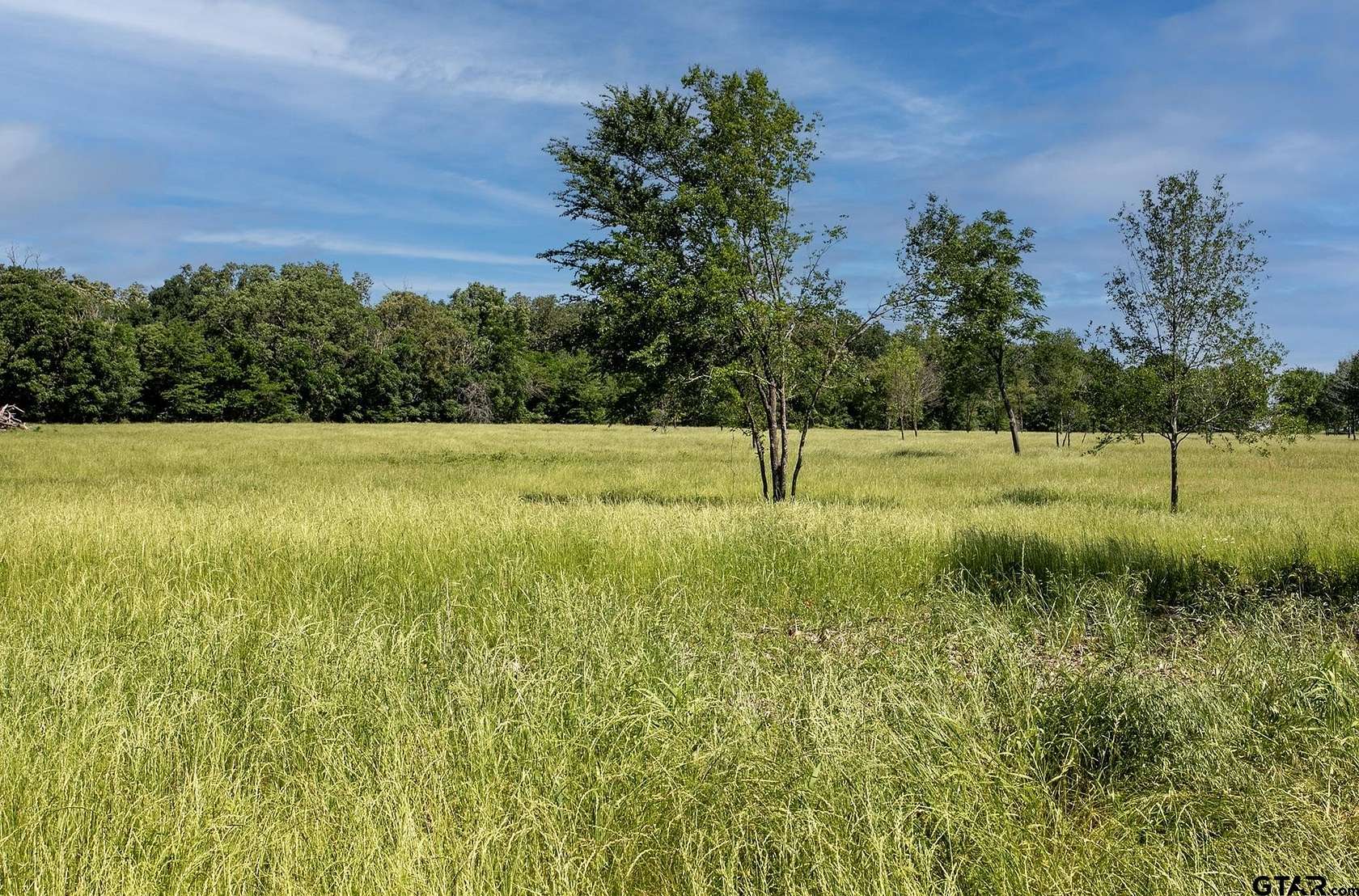 22.5 Acres of Recreational Land & Farm for Sale in Grand Saline, Texas