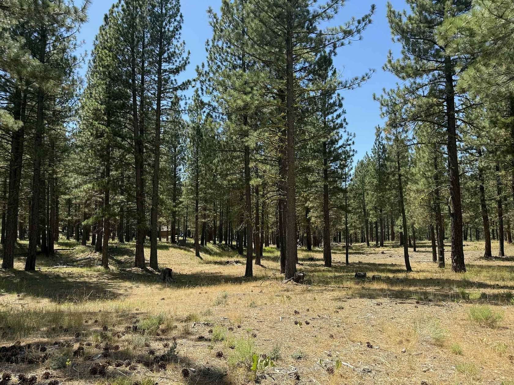 2.67 Acres of Land for Sale in Clio, California