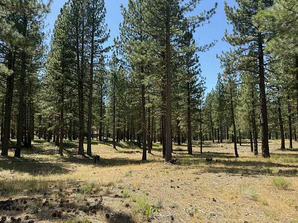 2.67 Acres of Land for Sale in Clio, California