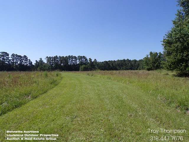 20 Acres of Land for Sale in Ruby, Louisiana