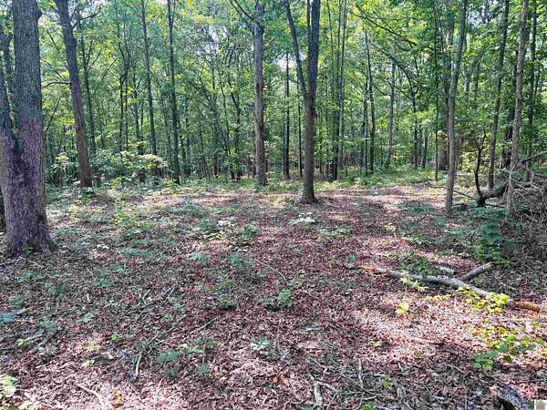 13.9 Acres of Recreational Land for Sale in New Concord, Kentucky