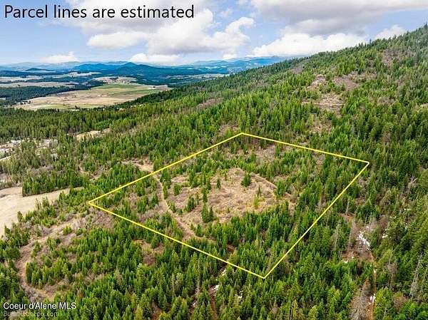 20 Acres of Recreational Land for Sale in Plummer, Idaho