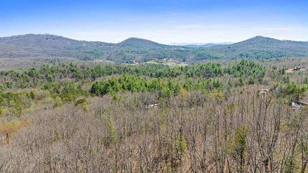 Residential Land for Sale in Mineral Bluff, Georgia