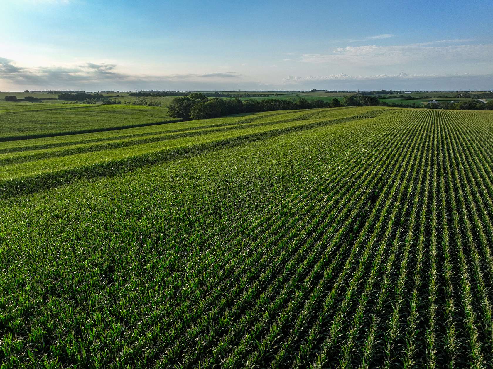 40 Acres of Recreational Land & Farm for Sale in Murdock, Nebraska