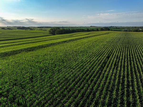 40 Acres of Recreational Land & Farm for Sale in Murdock, Nebraska