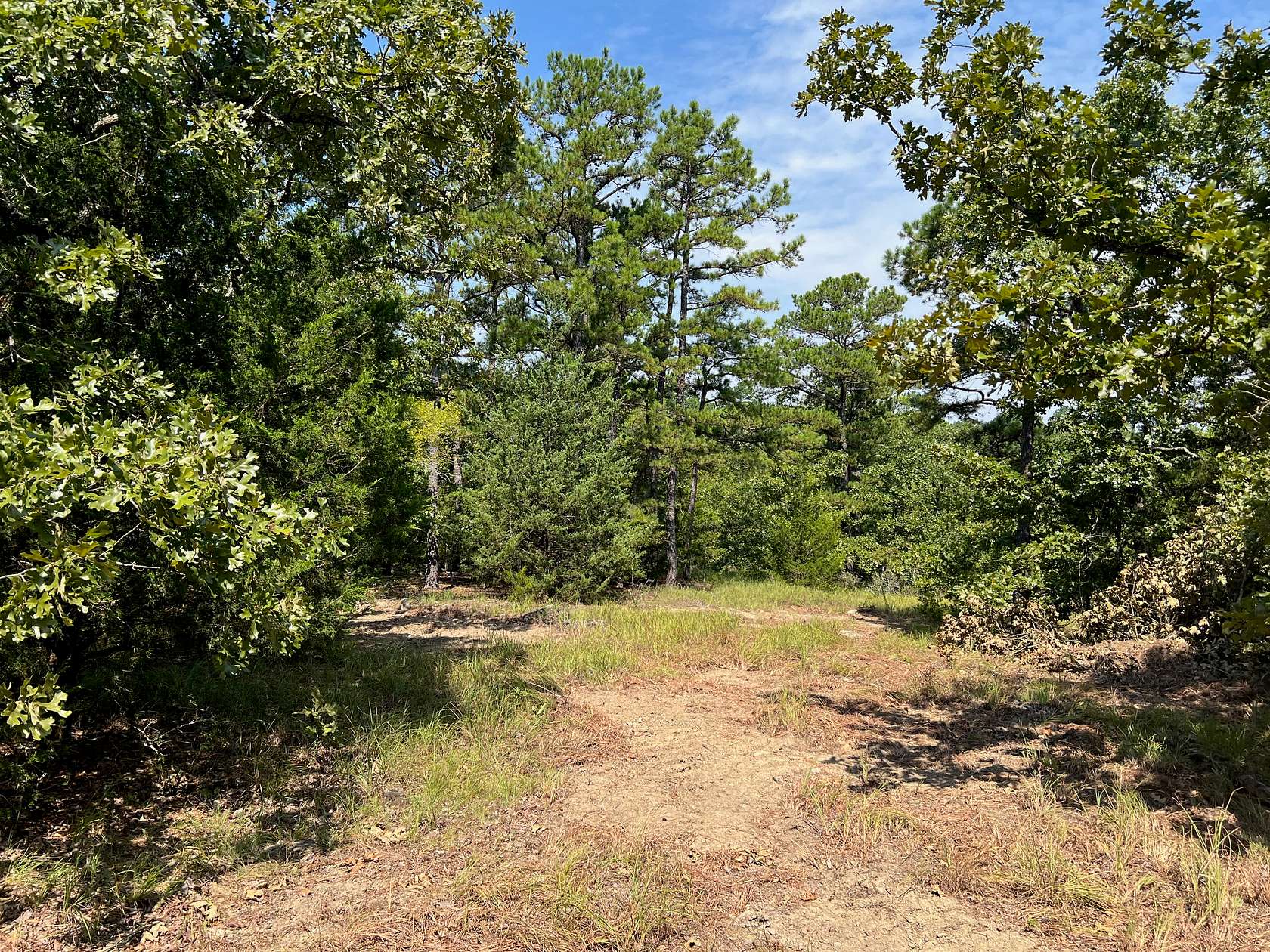 20 Acres of Land for Sale in Talihina, Oklahoma