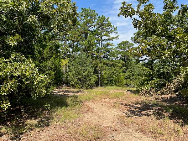 20 Acres of Land for Sale in Talihina, Oklahoma