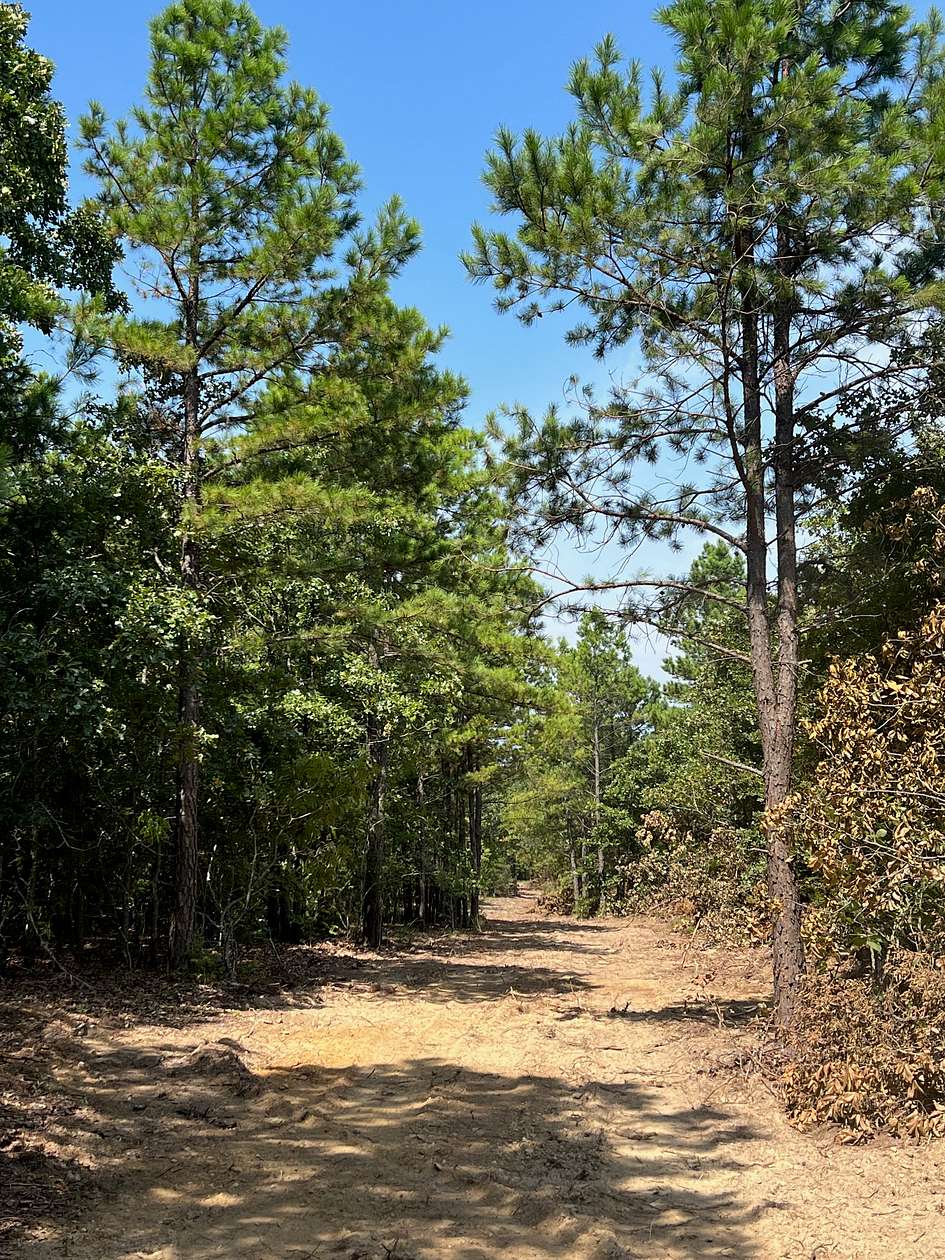 20 Acres of Land for Sale in Talihina, Oklahoma