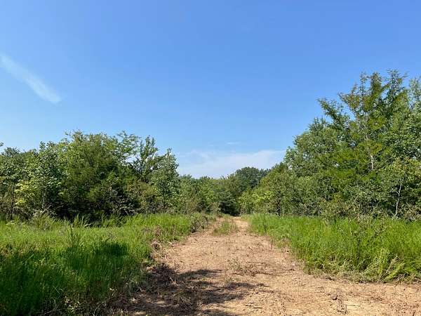 20 Acres of Land for Sale in Talihina, Oklahoma