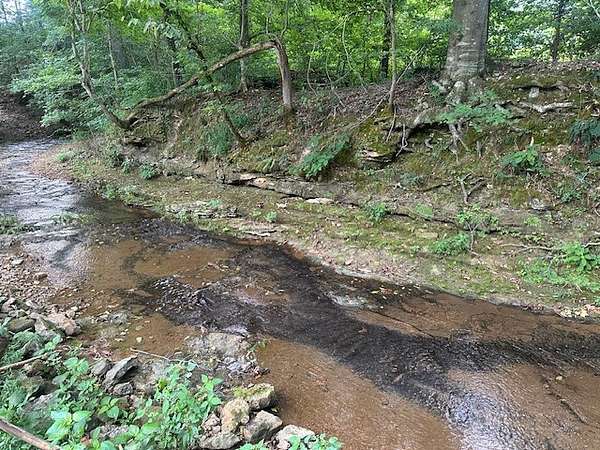 4 Acres of Land with Home for Sale in Ashland City, Tennessee