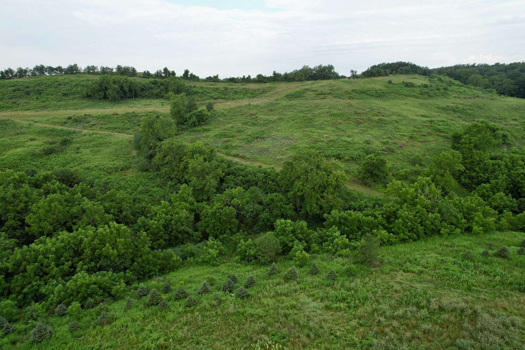 80 Acres of Recreational Land & Farm for Sale in Avella, Pennsylvania