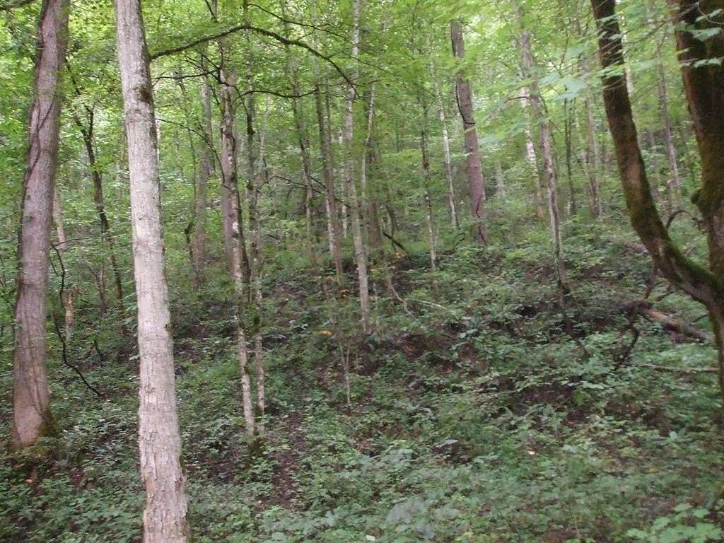 3.25 Acres of Residential Land for Sale in Bosco, Kentucky