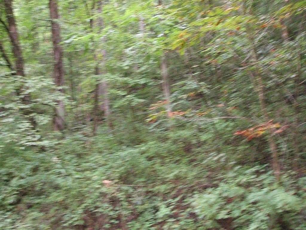 2.8 Acres of Residential Land for Sale in Bosco, Kentucky