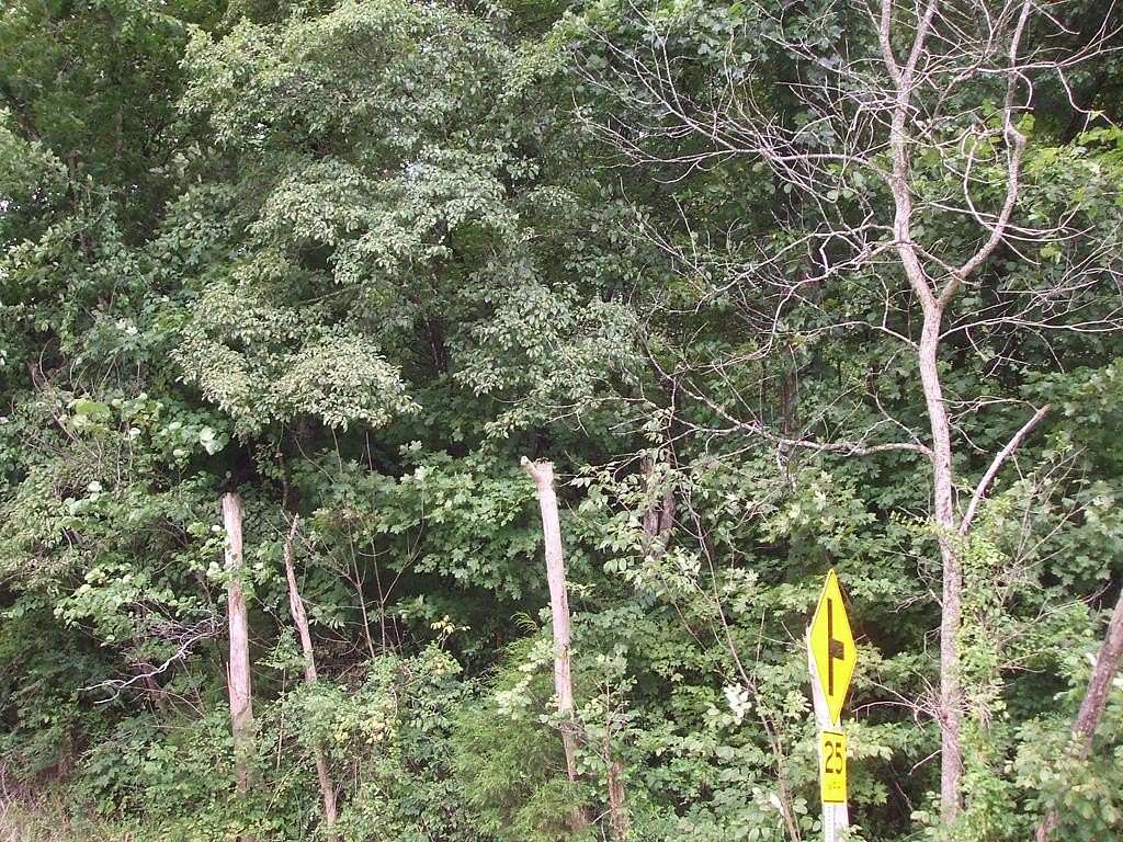 1.67 Acres of Residential Land for Sale in Bosco, Kentucky