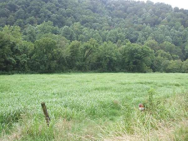 1.49 Acres of Residential Land for Sale in Bosco, Kentucky