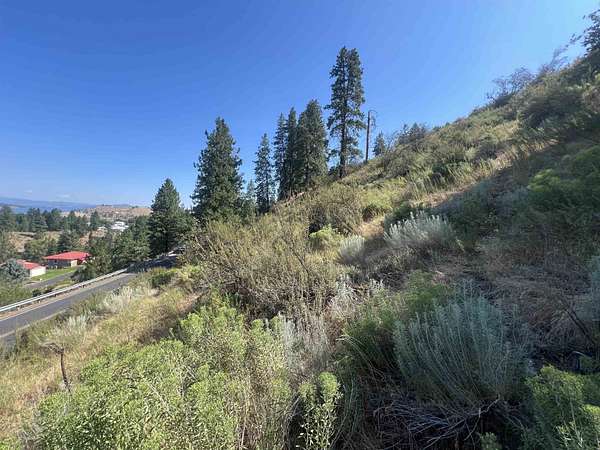 0.83 Acres of Residential Land for Sale in Lincoln, Washington