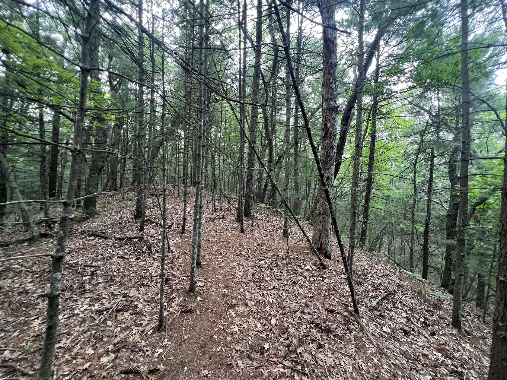 0.81 Acres of Land for Sale in Pentwater, Michigan