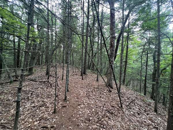 0.81 Acres of Land for Sale in Pentwater, Michigan