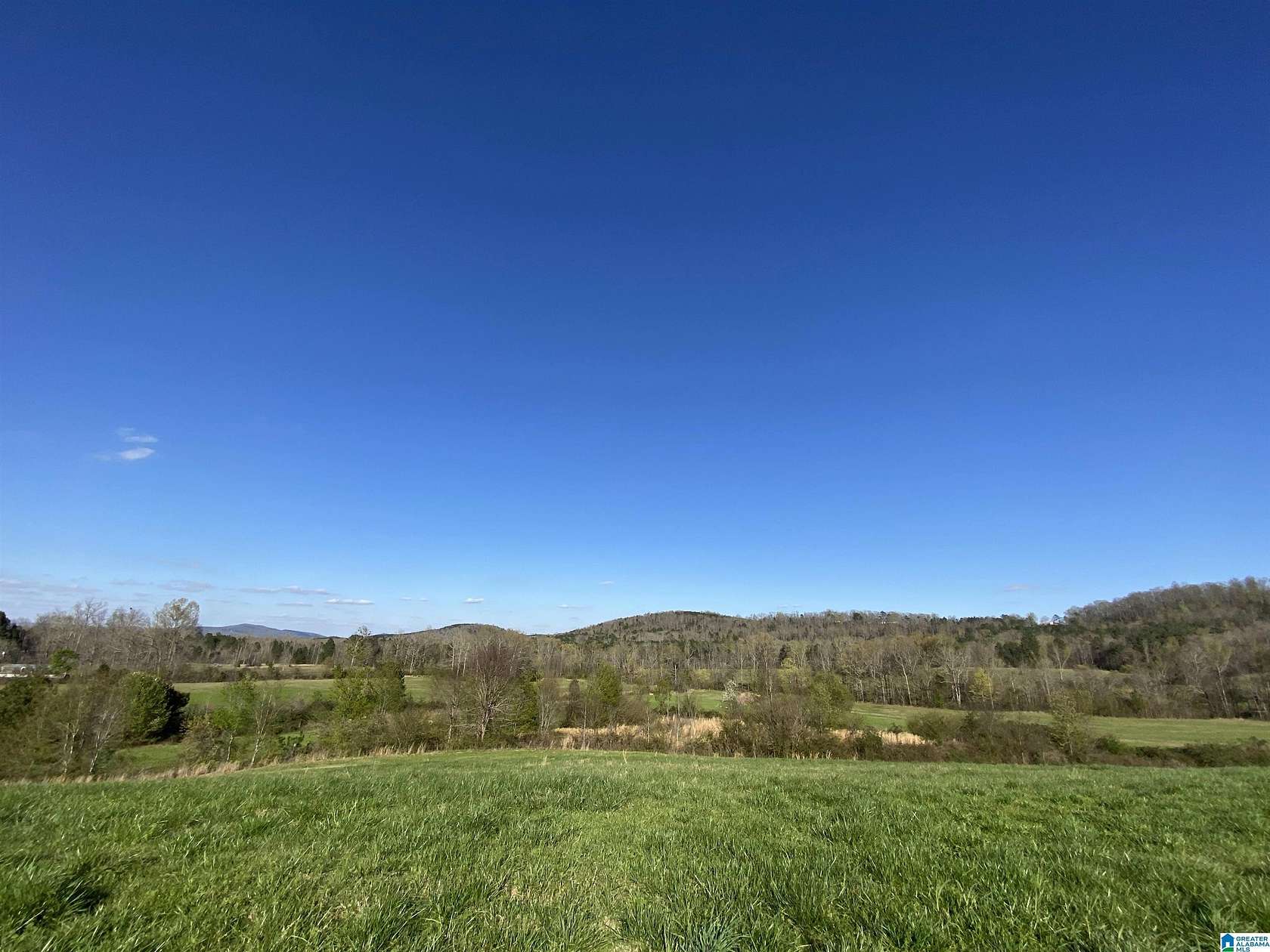 6.19 Acres of Land for Sale in Springville, Alabama