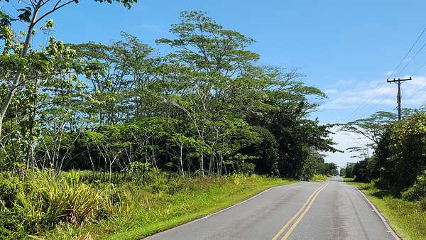 1 Acre of Residential Land for Sale in Keaau, Hawaii