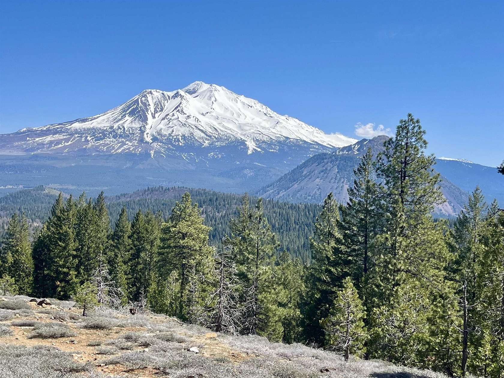 64 Acres of Recreational & Residential Land for Sale in Weed, California
