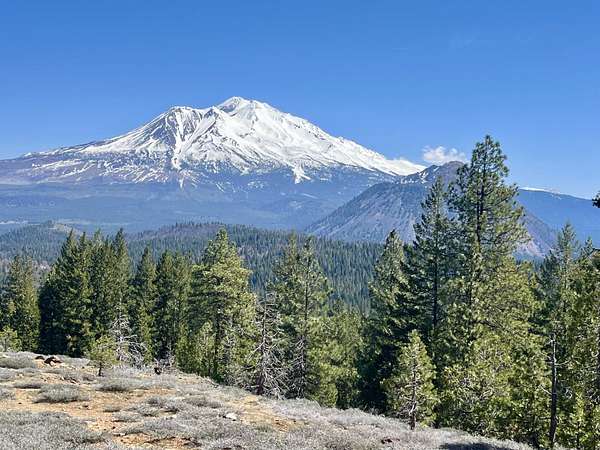 64 Acres of Recreational & Residential Land for Sale in Weed, California