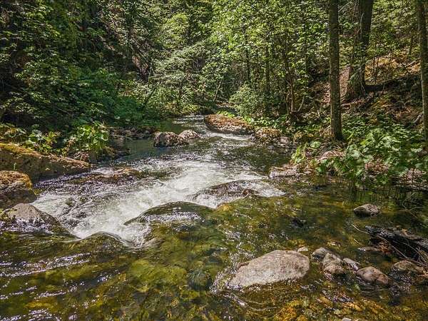 160 Acres of Recreational Land for Sale in Callahan, California