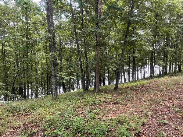 1.13 Acres of Residential Land for Sale in Heber Springs, Arkansas