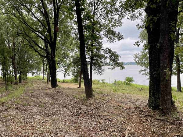 2.53 Acres of Residential Land for Sale in Scroggins, Texas
