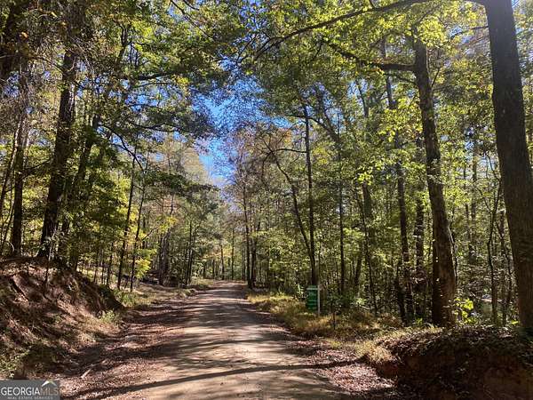 90.4 Acres of Land for Sale in Forsyth, Georgia