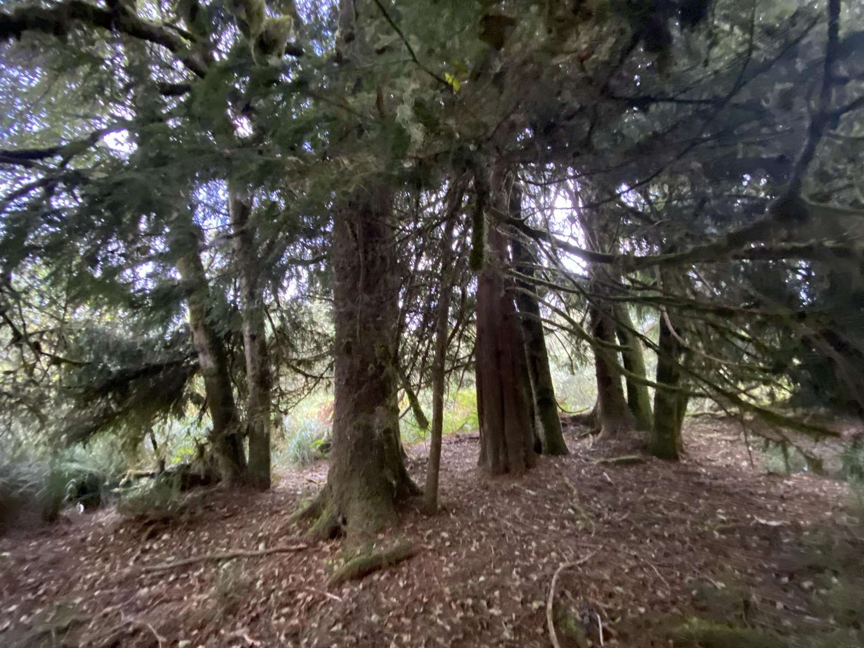 6.18 Acres of Residential Land for Sale in Warrenton, Oregon