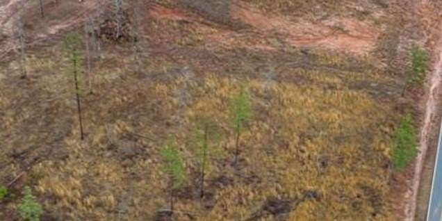 4.66 Acres of Residential Land for Sale in Plain Dealing, Louisiana