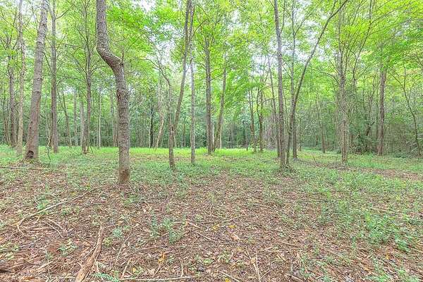 6.49 Acres of Residential Land for Sale in Cohutta, Georgia