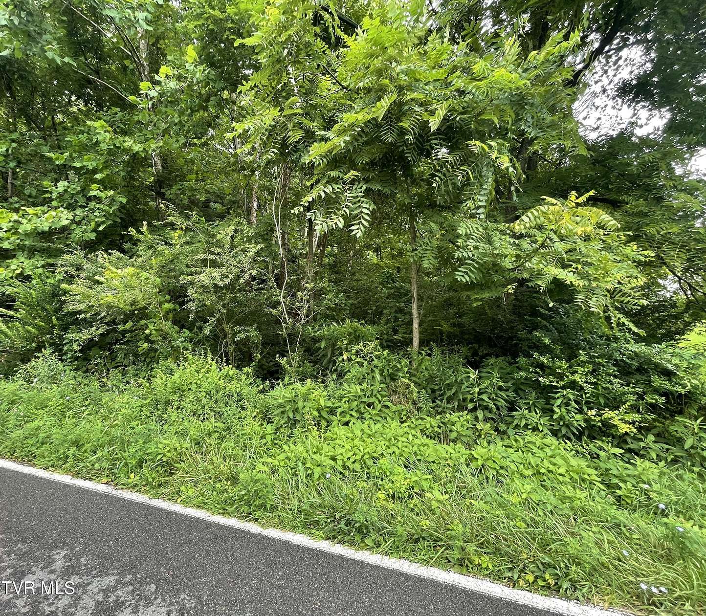 0.11 Acres of Residential Land for Sale in Honaker, Virginia