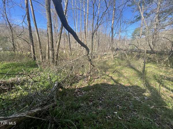 0.11 Acres of Residential Land for Sale in Honaker, Virginia