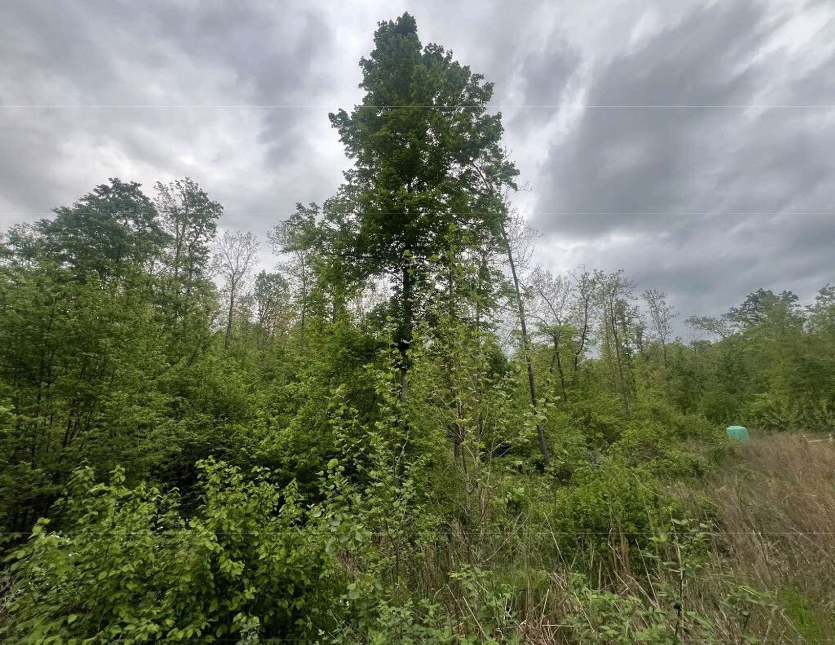 3 Acres of Land for Sale in Annapolis, Missouri