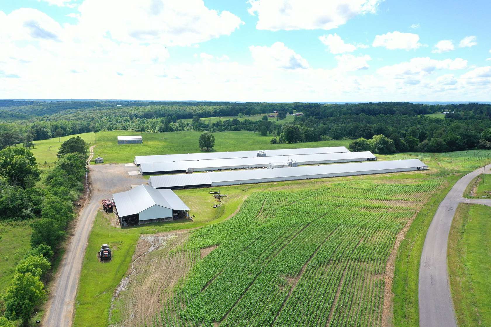 17 Acres of Land for Sale in Falkville, Alabama
