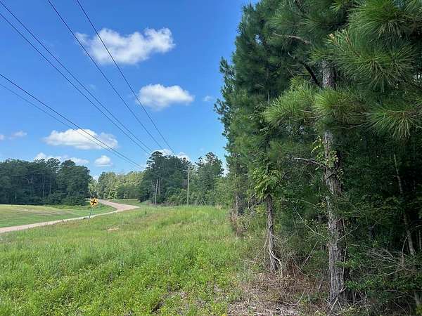 13.2 Acres of Land for Sale in Summit, Mississippi