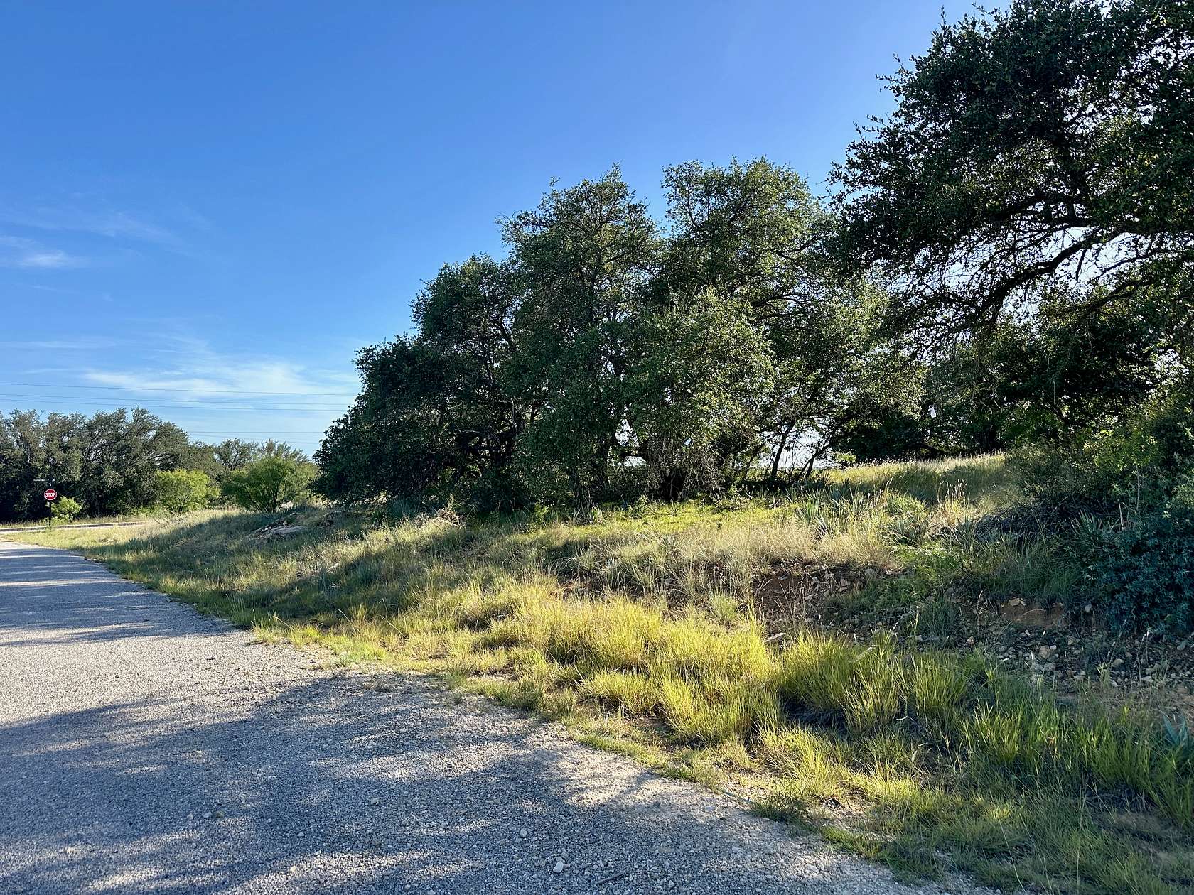 0.32 Acres of Residential Land for Sale in Brownwood, Texas
