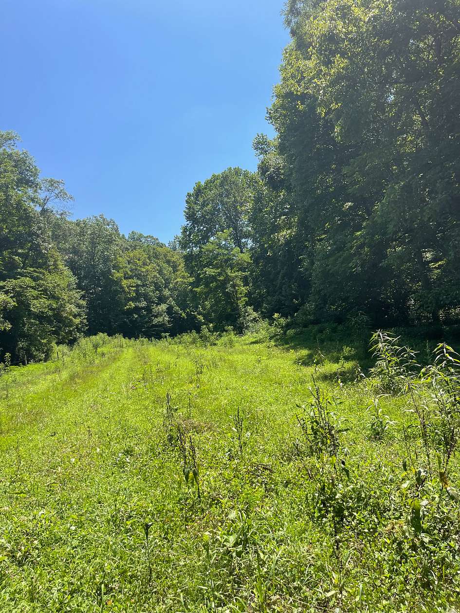 245 Acres of Land with Home for Sale in Vanceburg, Kentucky