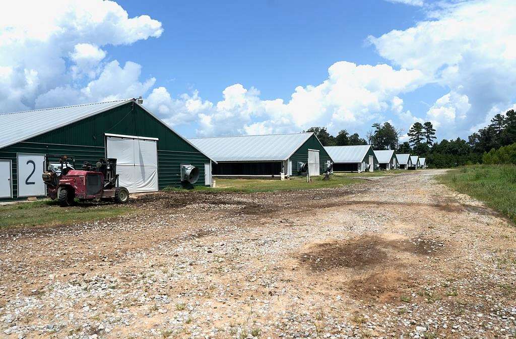 102 Acres of Agricultural Land with Home for Sale in Heidelberg, Mississippi