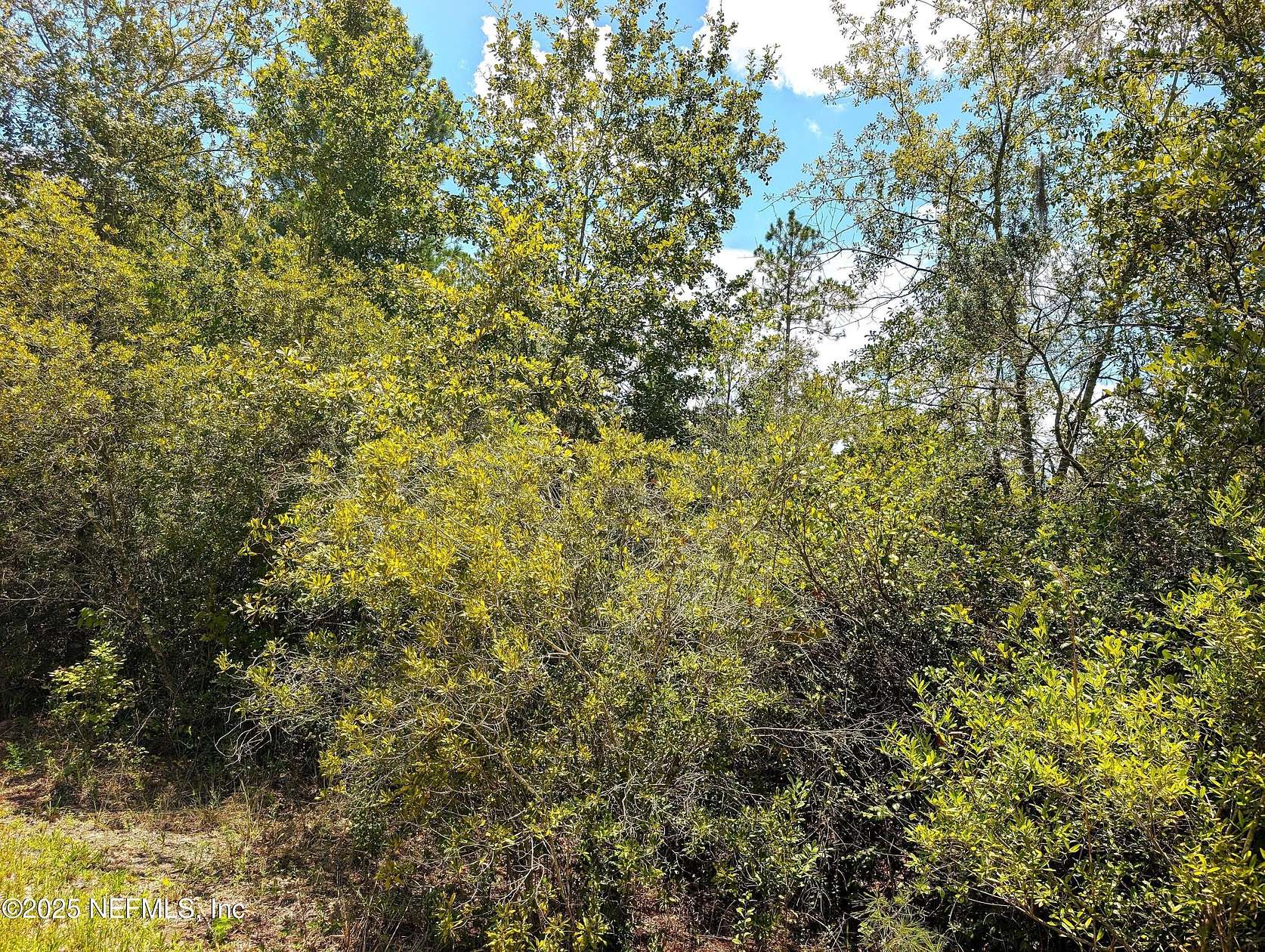 5 Acres of Residential Land for Sale in Starke, Florida