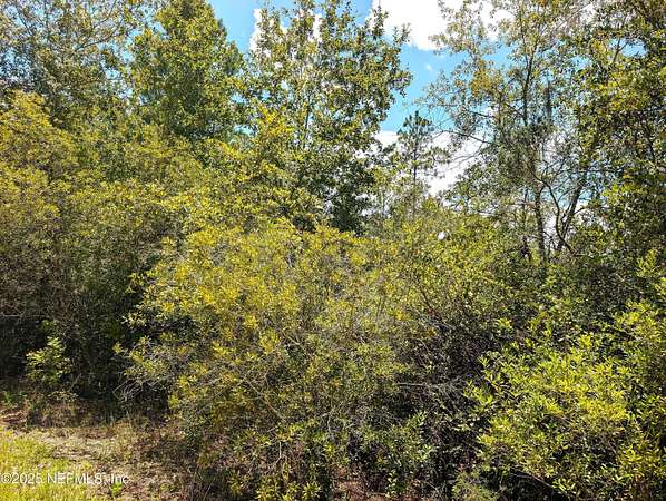 5 Acres of Residential Land for Sale in Starke, Florida