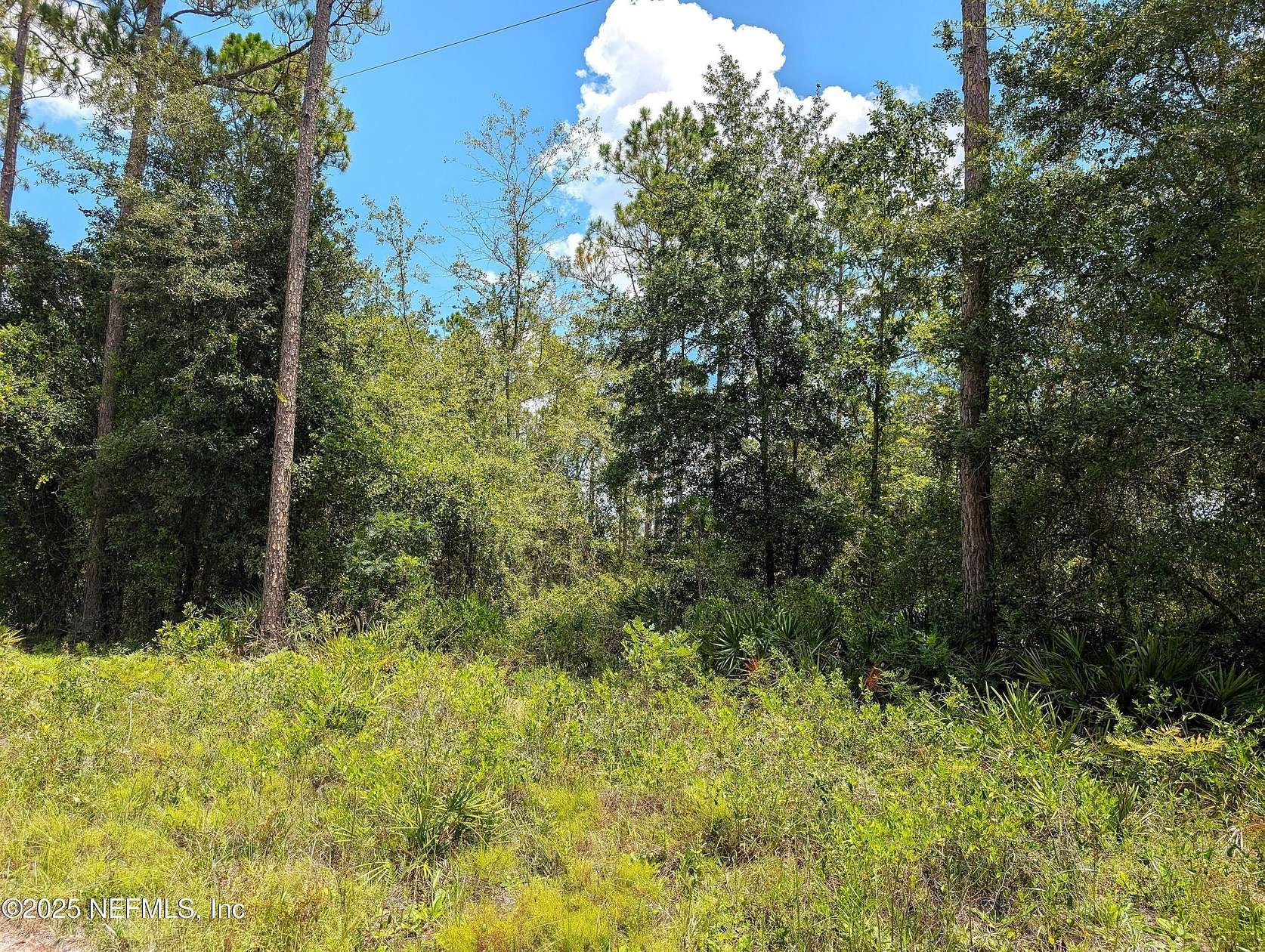4.5 Acres of Residential Land for Sale in Starke, Florida