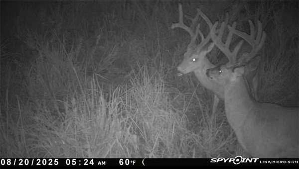 7 Acres of Residential Land for Sale in Bergman, Arkansas