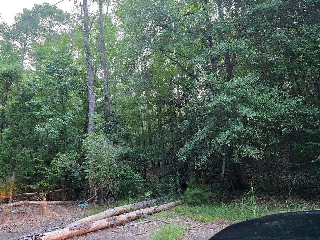 Residential Land for Sale in Georgetown, Georgia