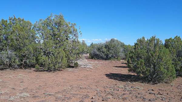 1.22 Acres of Residential Land for Sale in Concho, Arizona