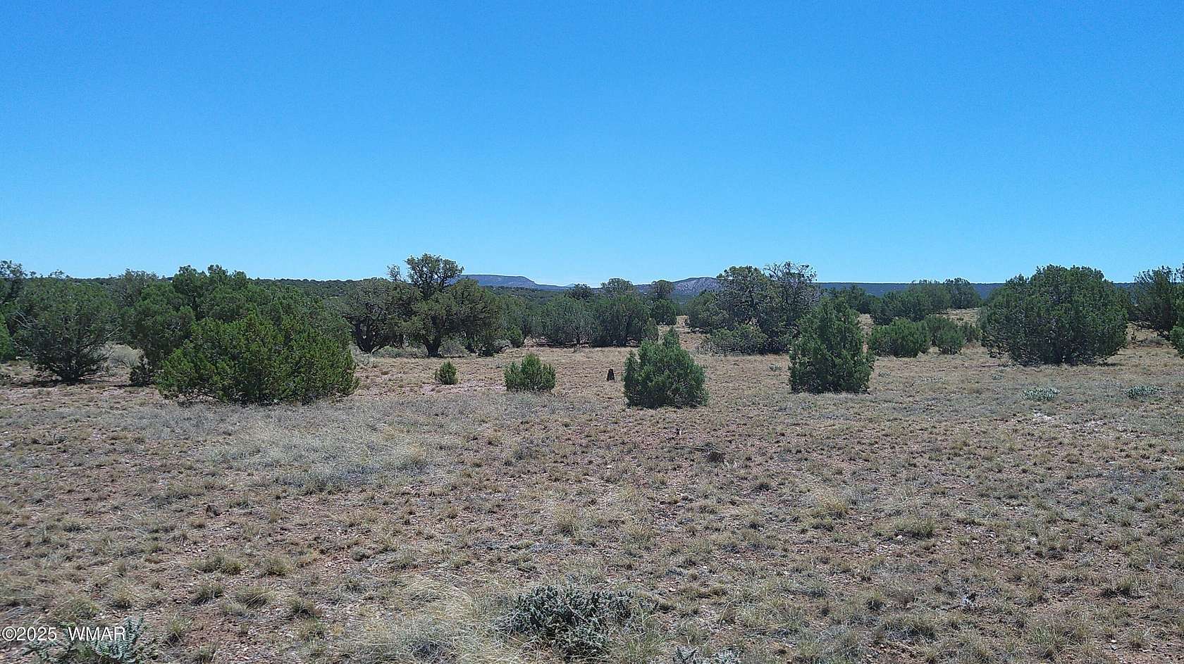 1.13 Acres of Residential Land for Sale in Snowflake, Arizona