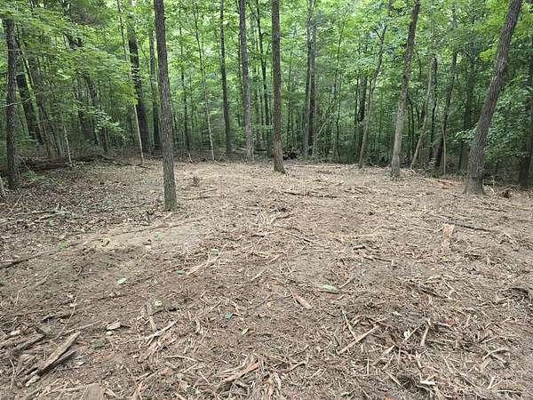 0.71 Acres of Residential Land for Sale in Waverly, Tennessee